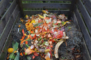 Is Composting better than Recycling?