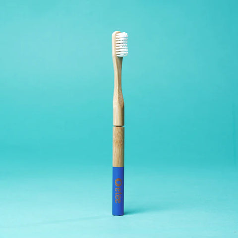 Bamboo Toothbrush (Adult) w/ Replaceable Head